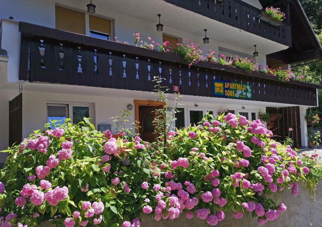 Accommodation Destina, Lake Bohinj Luaran gambar