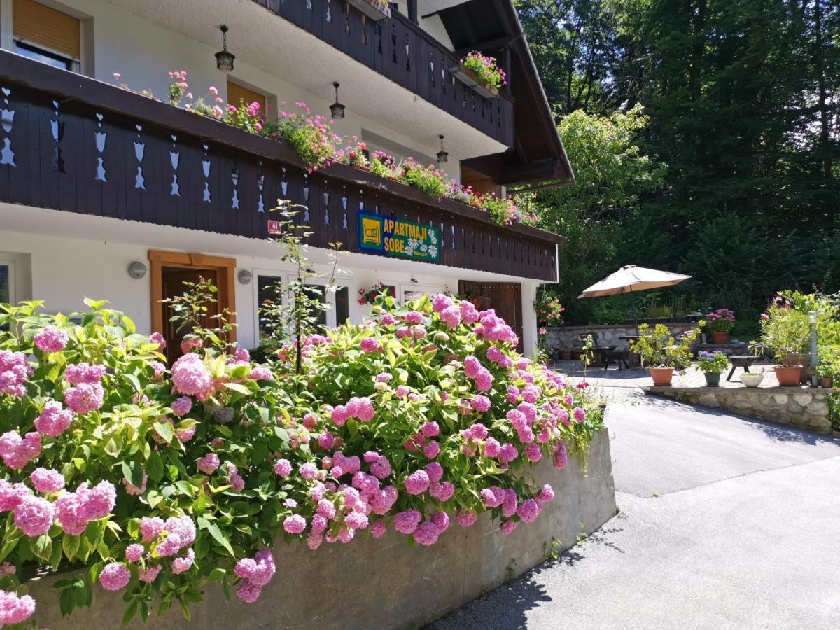 Accommodation Destina, Lake Bohinj Luaran gambar